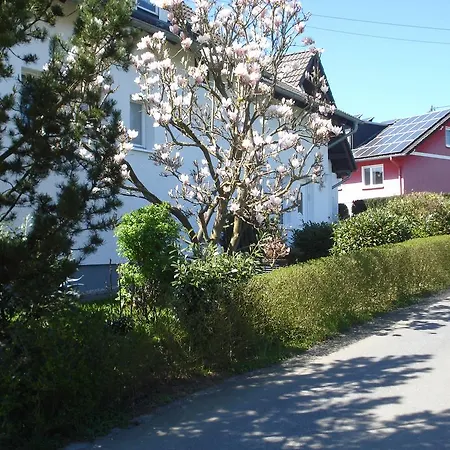 Ferienhaus Ferienhaus Steinbrenner *